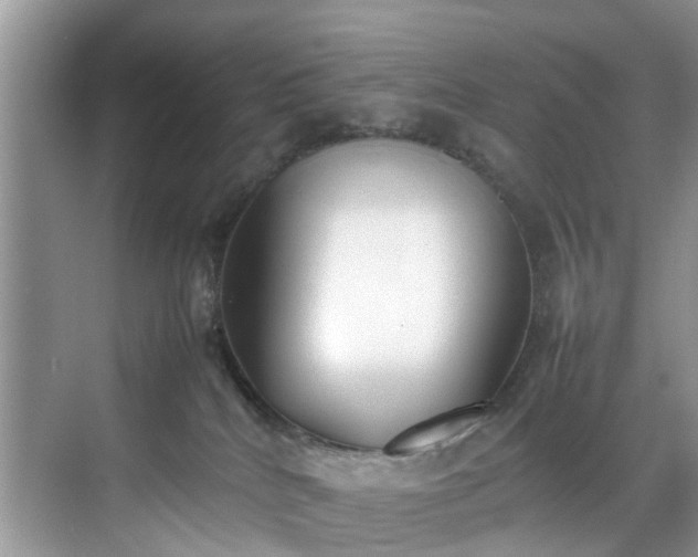 X0000070430040200606161515