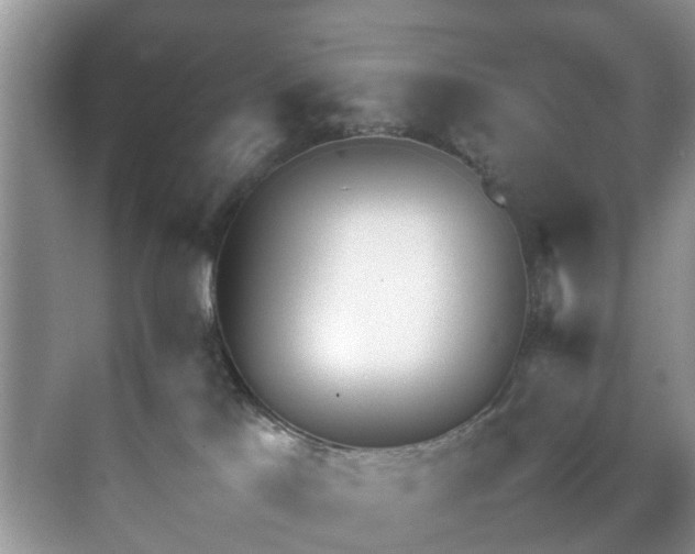 X0000070430041200606161515