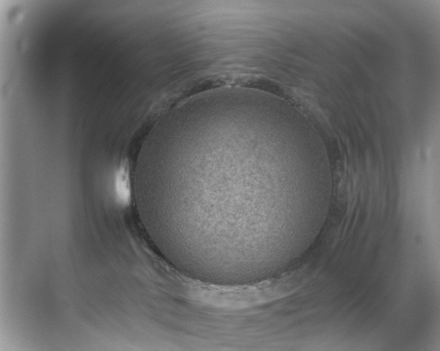 X0000070430042200606161515