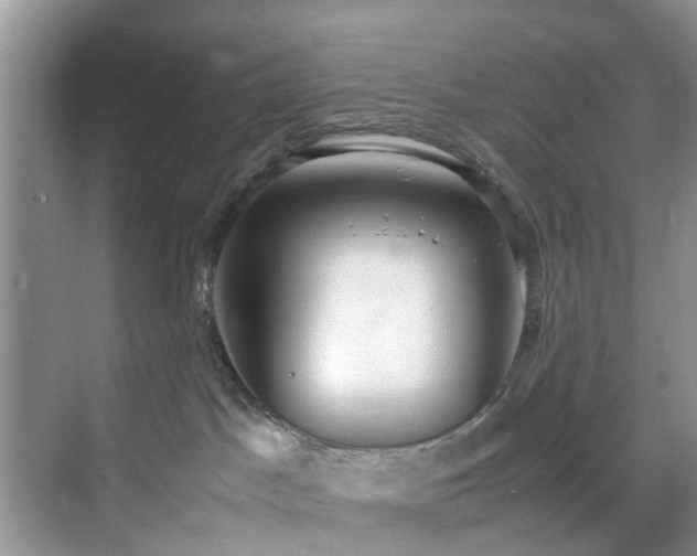 X0000070430045200606161515