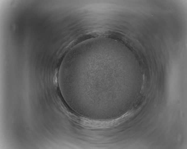 X0000070430048200606161515