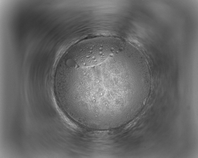 X0000070430049200606161514