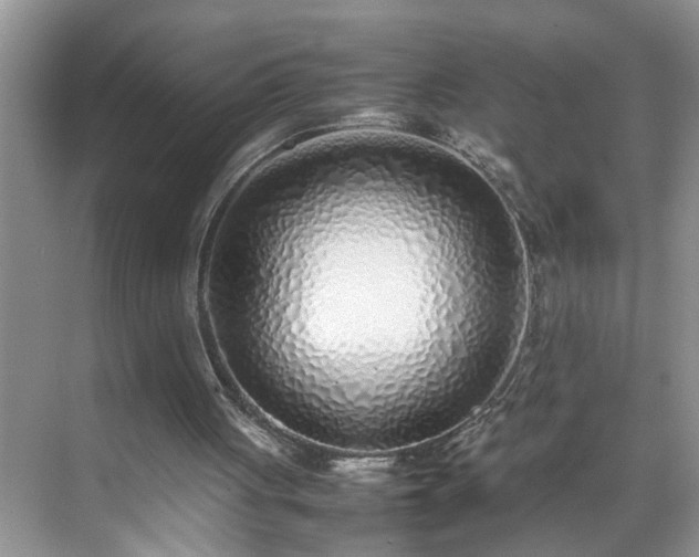 X0000070430051200606161514