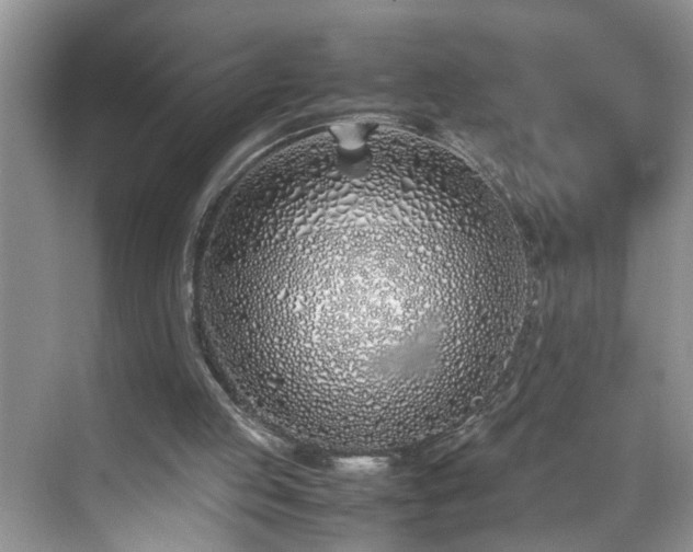 X0000070430053200606161514