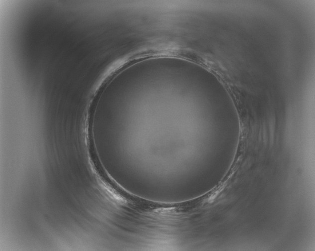 X0000070430054200606161514