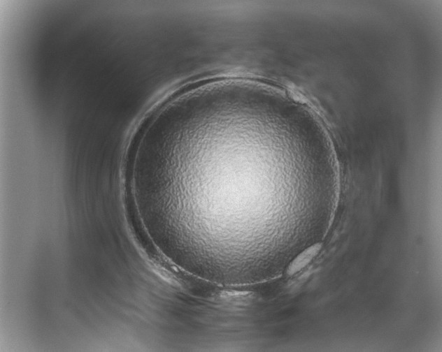 X0000070430055200606161514