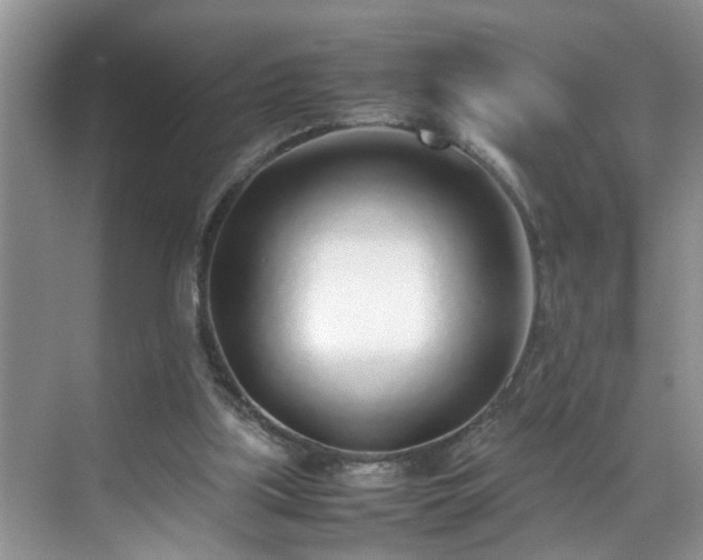 X0000070430059200606161515