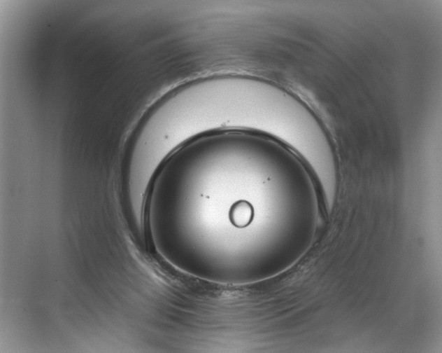 X0000070430060200606161515