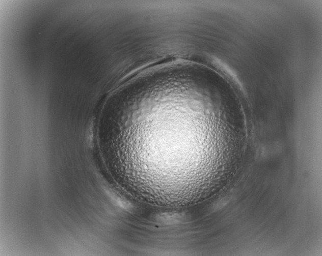 X0000070430065200606161515