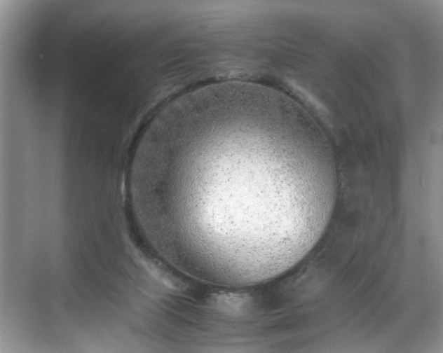 X0000070430067200606161515