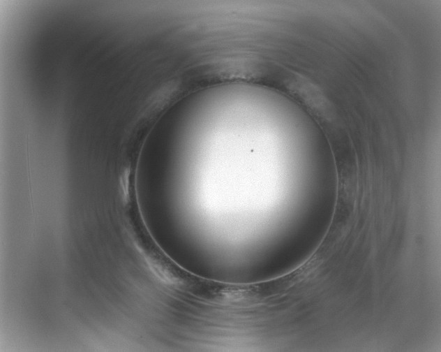 X0000070430070200606161515