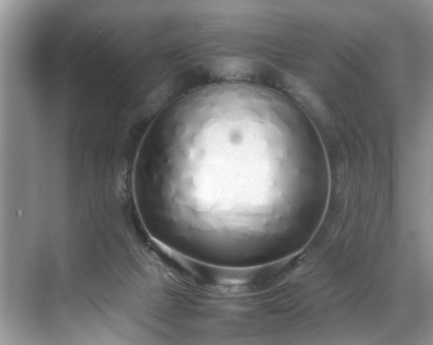 X0000070430073200606161515