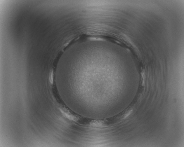 X0000070430076200606161515