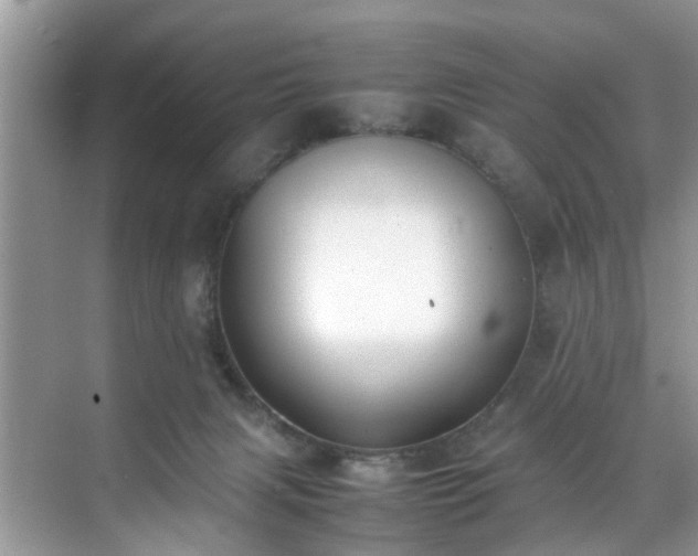 X0000070430079200606161515