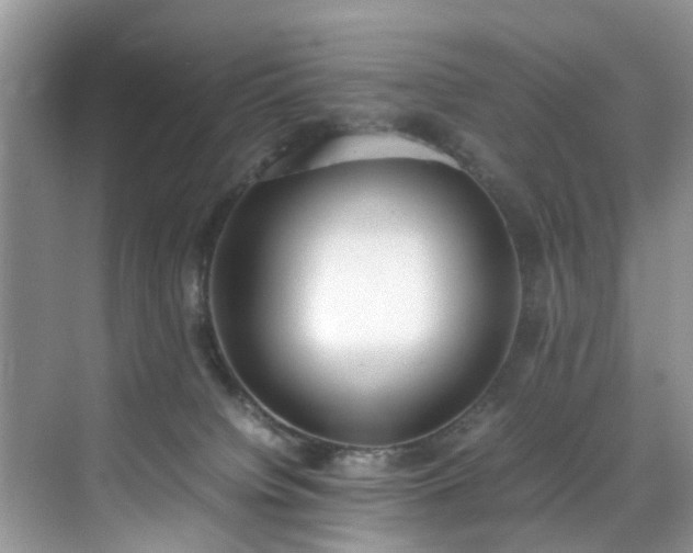 X0000070430084200606161515