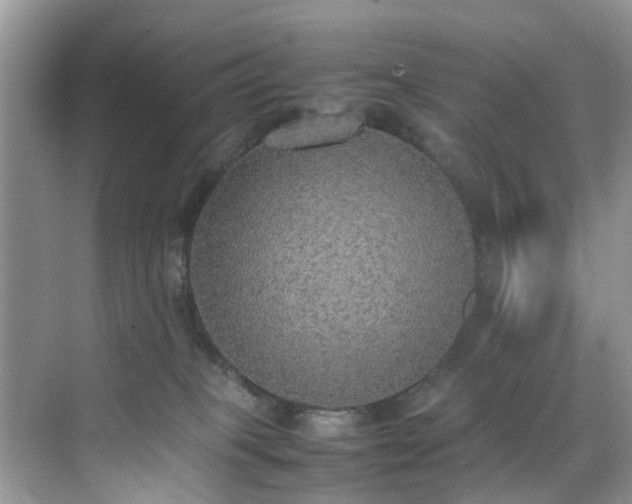 X0000070430085200606161515