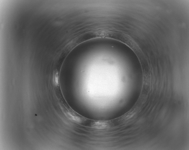 X0000070430095200606161515