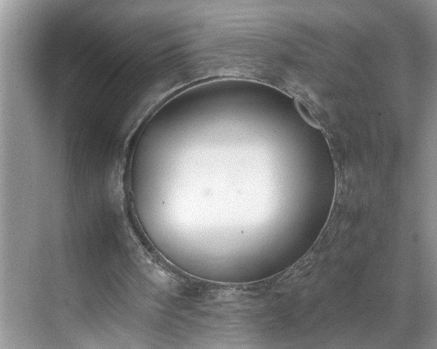 X0000070430098200606161514