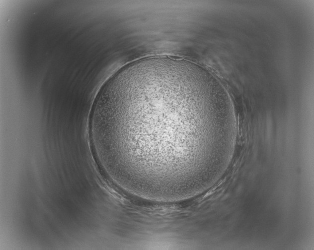 X0000070430099200606161514