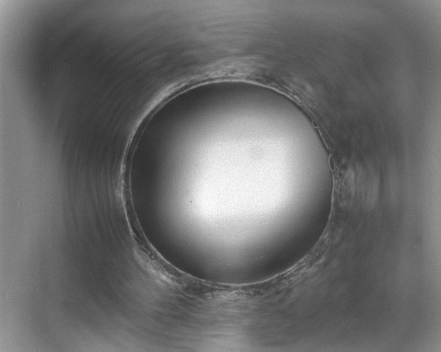 X0000070430100200606161514