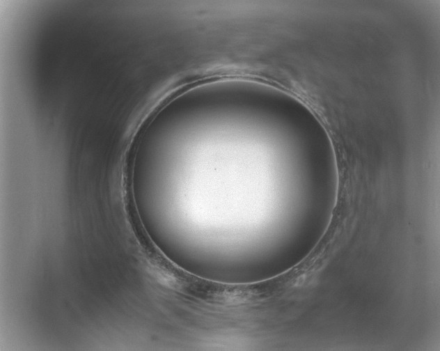 X0000070430103200606161514