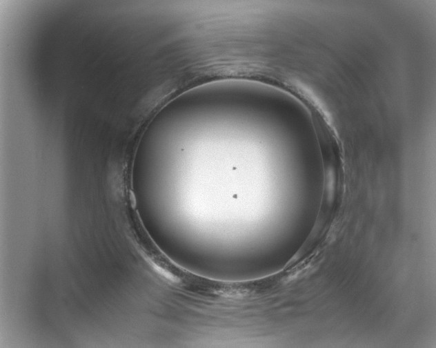 X0000070430105200606161514