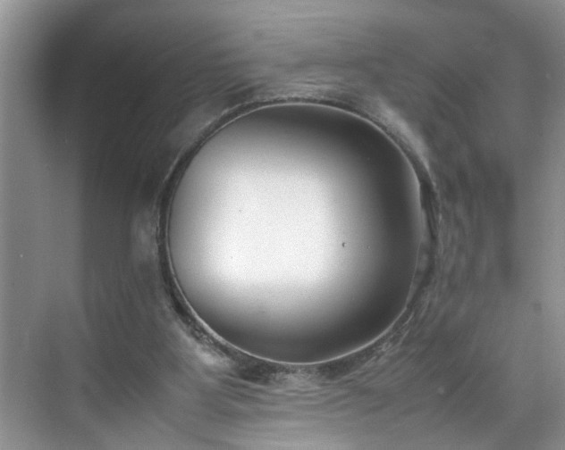 X0000070430107200606161514