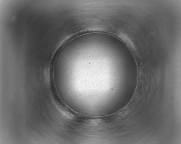 X0000070430108200606161514