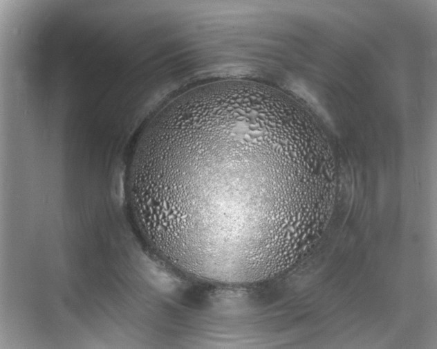 X0000070430110200606161514