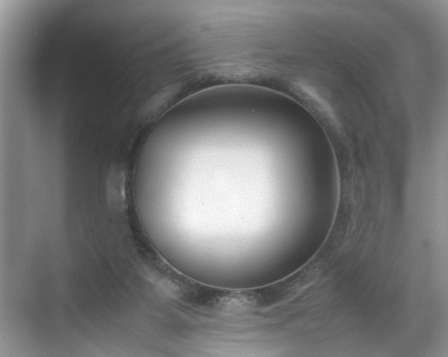 X0000070430115200606161514