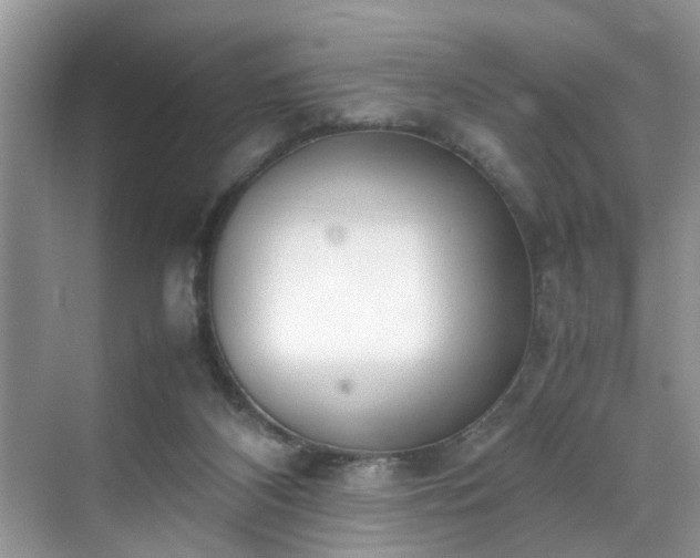 X0000070430116200606161514