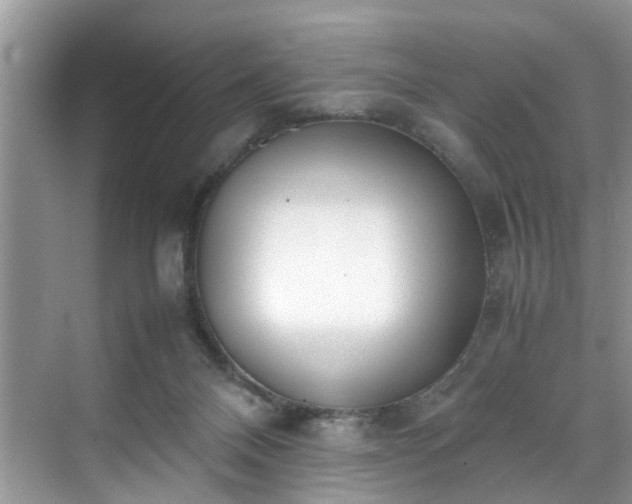 X0000070430120200606161514