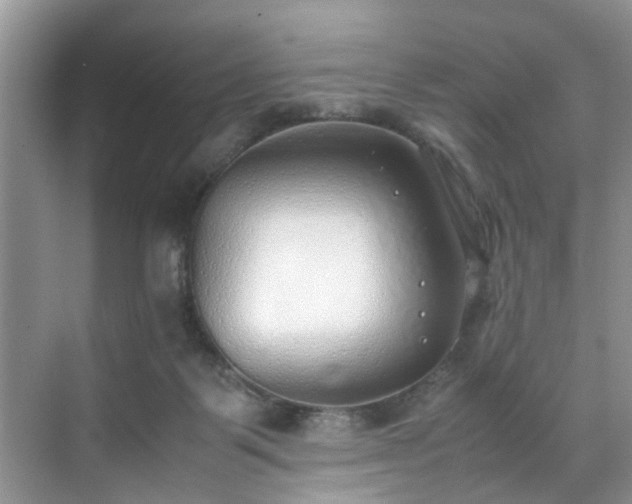 X0000070430123200606161514