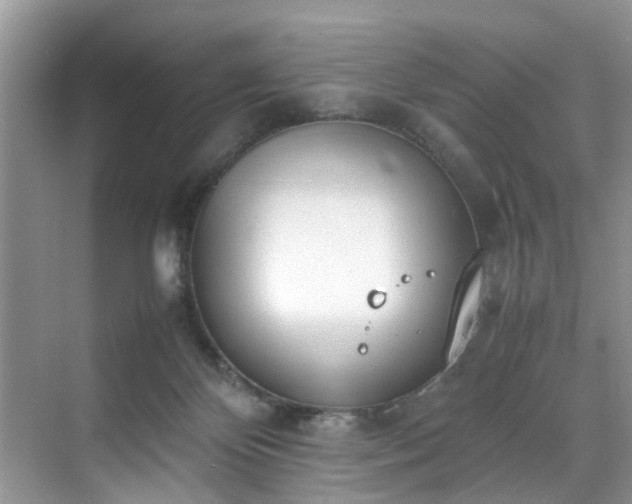 X0000070430124200606161514