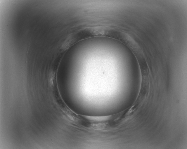 X0000070430125200606161514