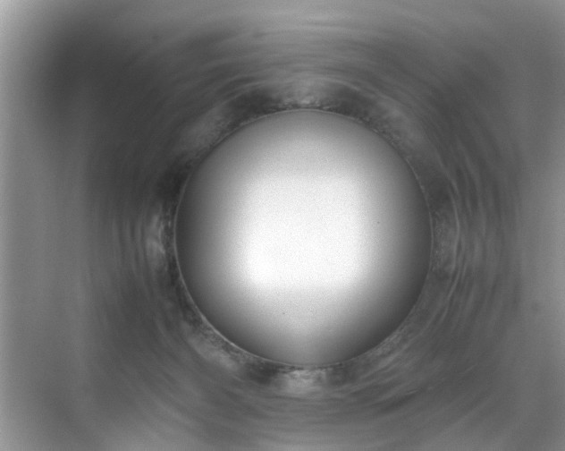 X0000070430126200606161514