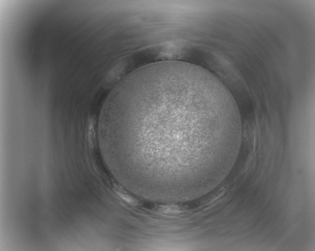 X0000070430127200606161514