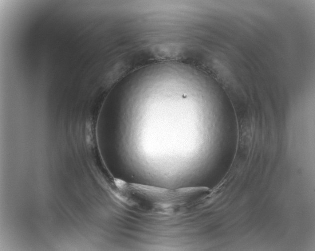 X0000070430130200606161514