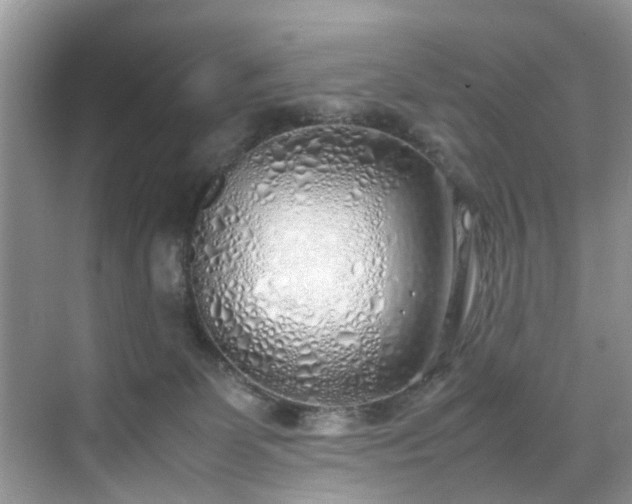 X0000070430131200606161514