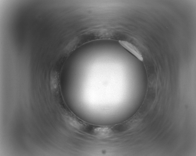 X0000070430133200606161514