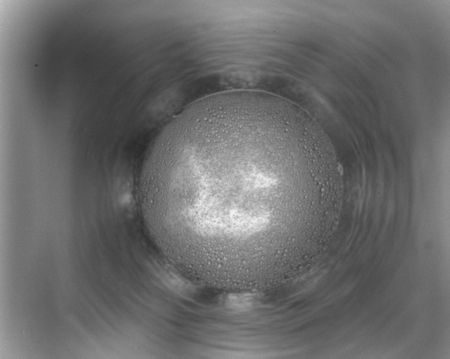 X0000070430134200606161514