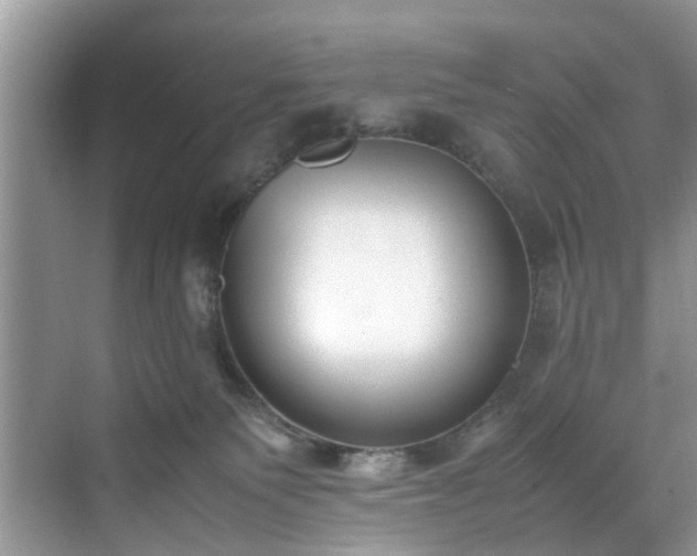 X0000070430135200606161514