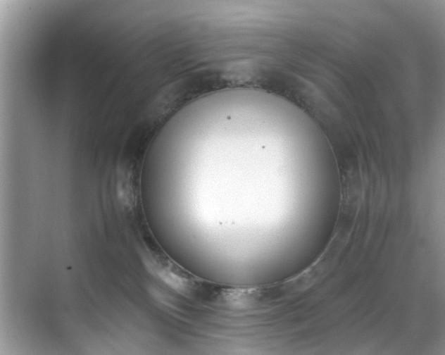 X0000070430136200606161514