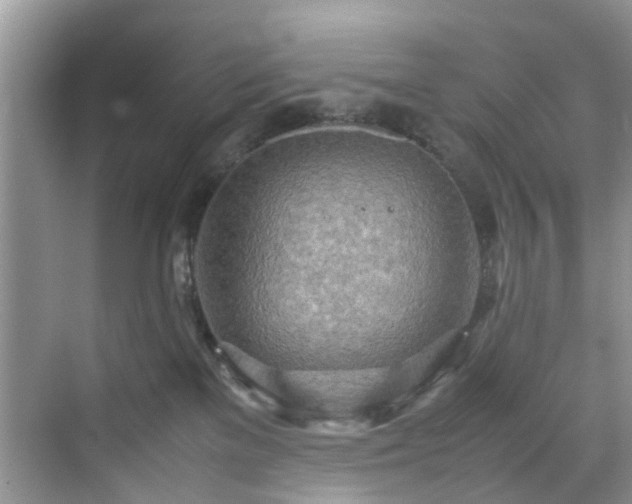 X0000070430137200606161514