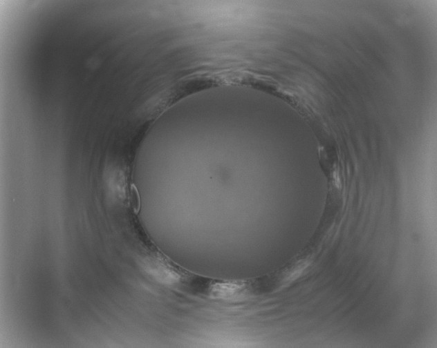 X0000070430139200606161514