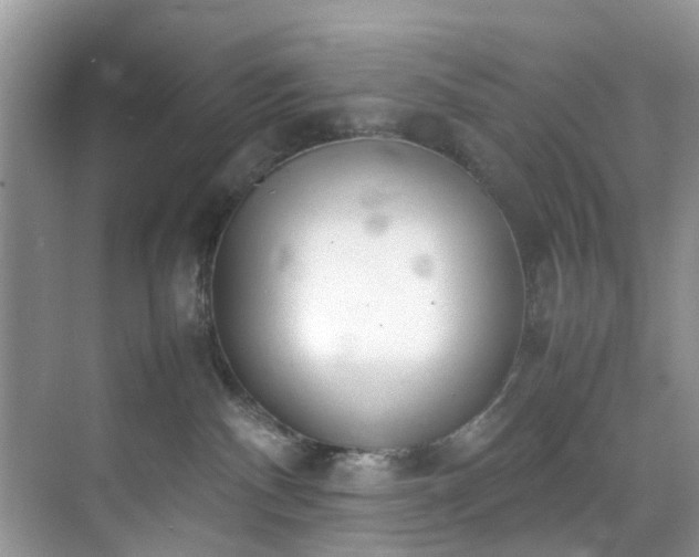 X0000070430140200606161514