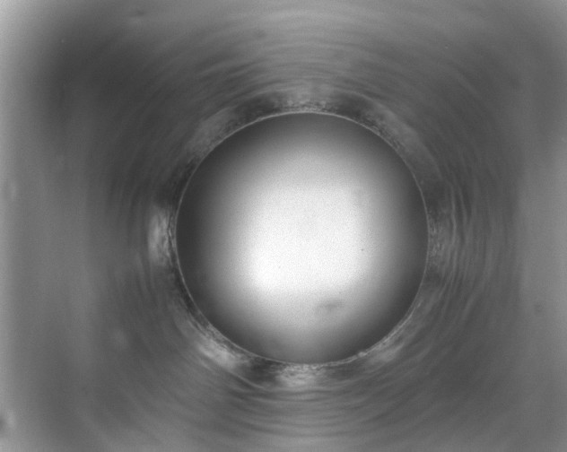 X0000070430142200606161514