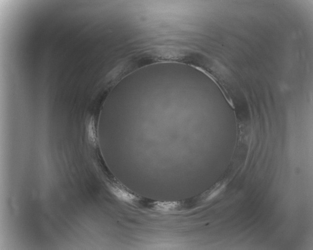 X0000070430143200606161514