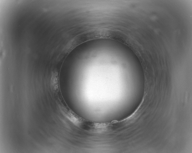 X0000070430144200606161514