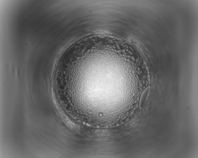 X0000070430145200606161513